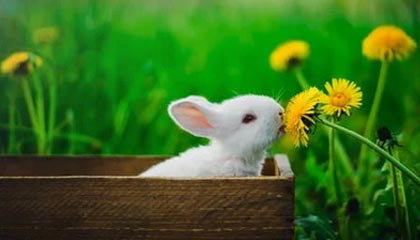 苏超南通队主场迎战苏州队,上半场南通队1:0苏州队